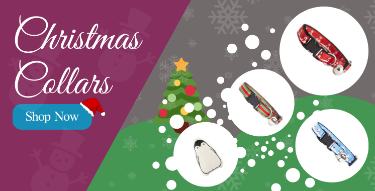 Christmas Cat Collars & Tags